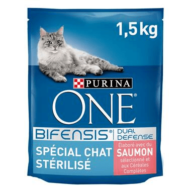 purina-chat