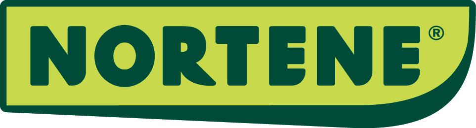 NORTEN -logo