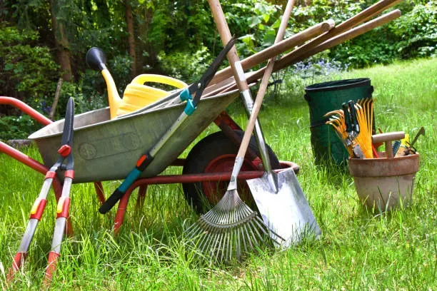 Matériel jardinage et potager près de Marcilly-le-Châtel